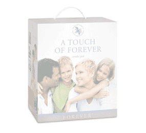 Touch of Forever
